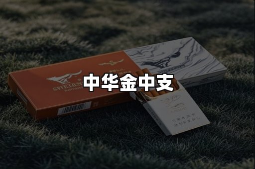中华金中支